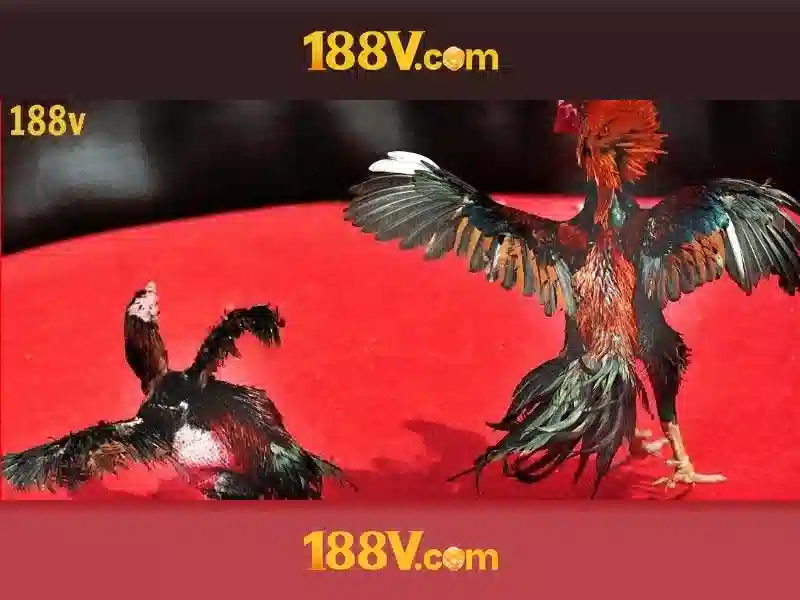 casino 188v – Trải nghiệm đỉnh cao và chiến lược an toàn Go88