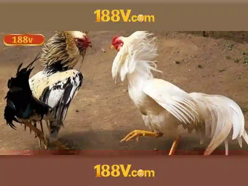 Tong quat ve 188v no hu