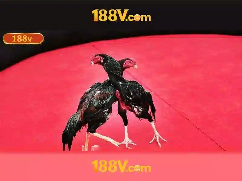 Hiểu biết cơ bản về 188V Go88