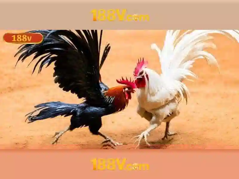 Đăng Nhập