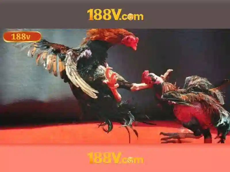 Cấu trúc và đặc điểm nổi bật của 188v