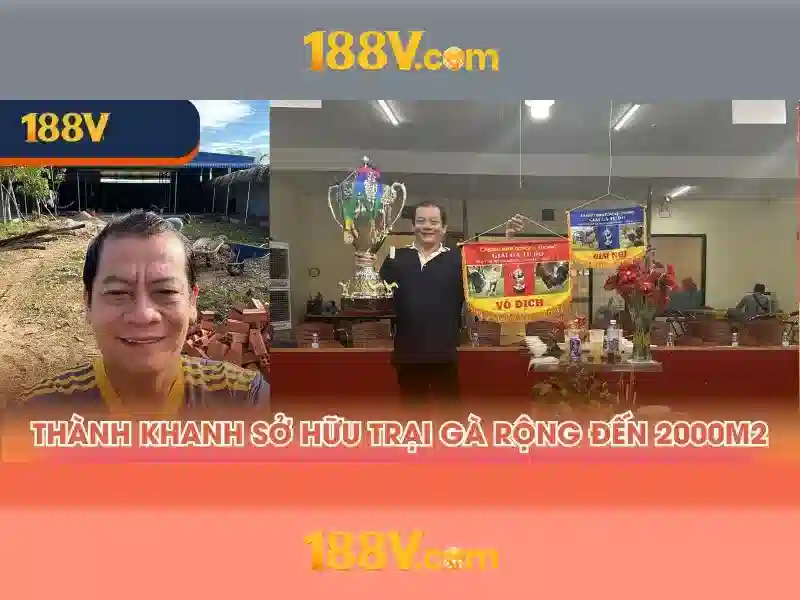 Kết luận về 188v