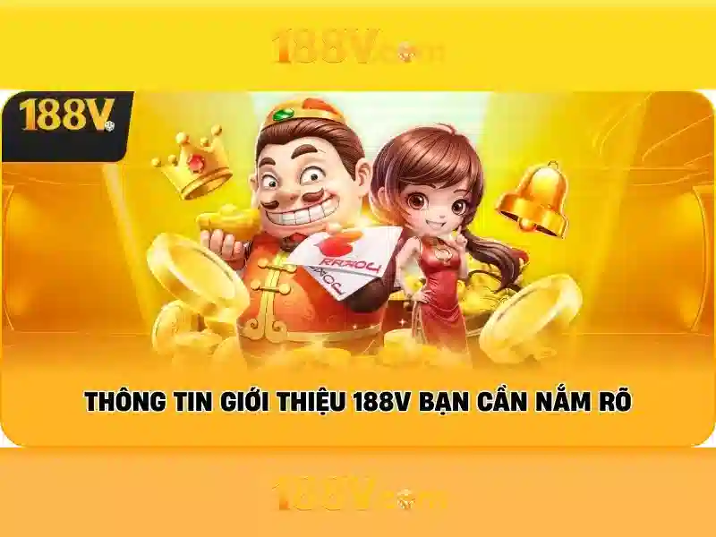 Trải nghiệm người dùng và phản hồi từ cộng đồng