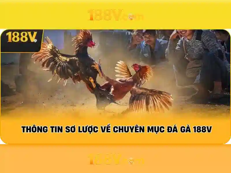 Tổng quan chủ đề và giá trị cốt lõi Tổng quan chủ đề và giá trị cốt lõi