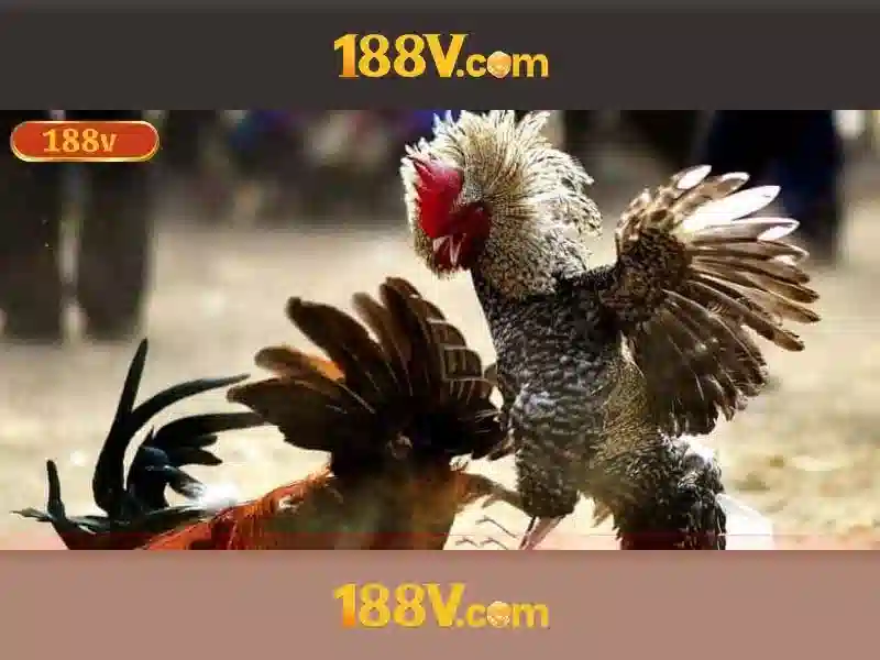 188v là gì? - một khái niệm công nghệ và sáng tạo Go88