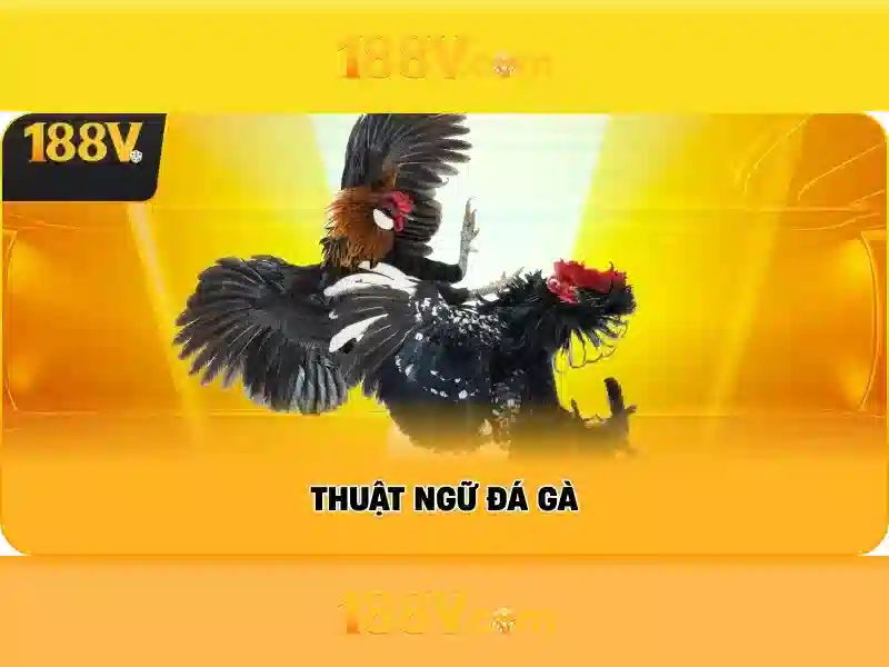 Nguồn gốc và sứ mệnh của 188v còn