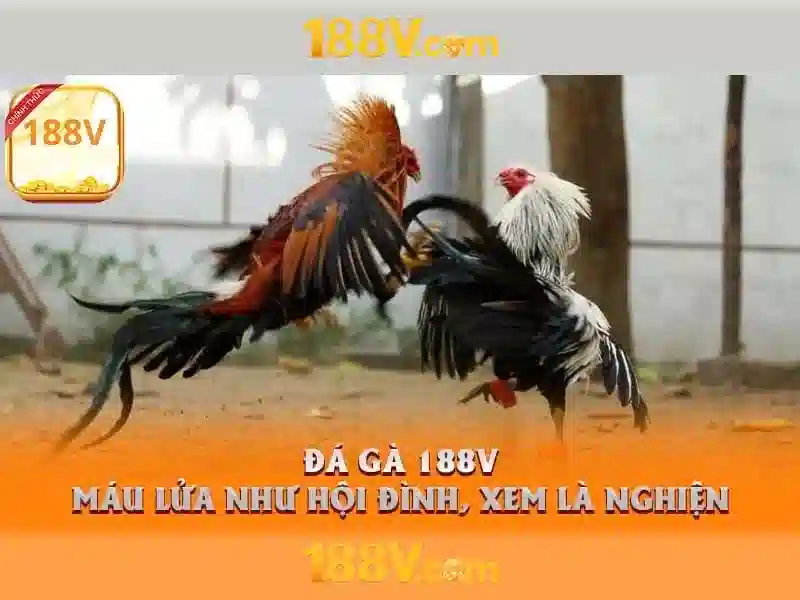 Khởi nguồn và sứ mệnh của đăng nhập 188v Khởi nguồn và sứ mệnh của đăng nhập 188v
