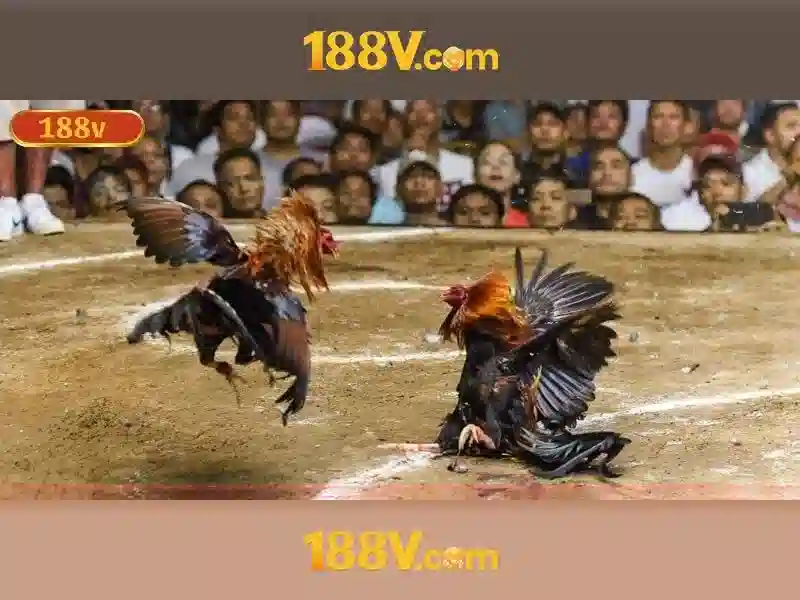 Khám phá ánh sáng và rung động