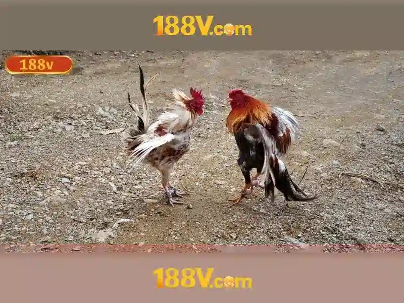 Đăng Nhập