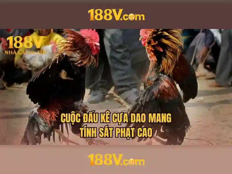 Ý nghĩa và ứng dụng của 188v