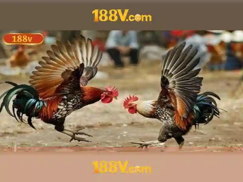 Sản phẩm và dịch vụ cốt lõi: ứng dụng thực tế của 188v battery Sản phẩm và dịch vụ cốt lõi: ứng dụng thực tế của 188v battery