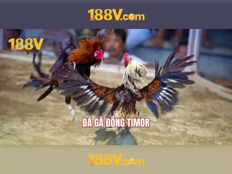 Đăng Nhập