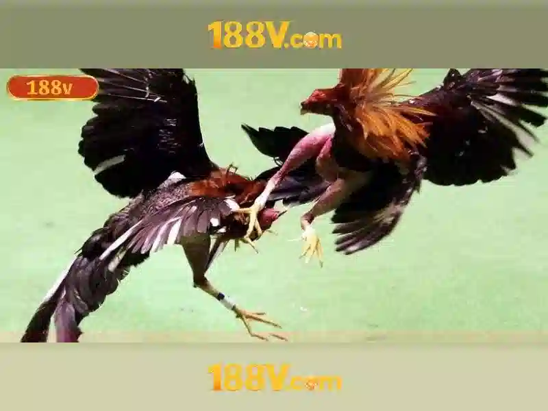 Go88