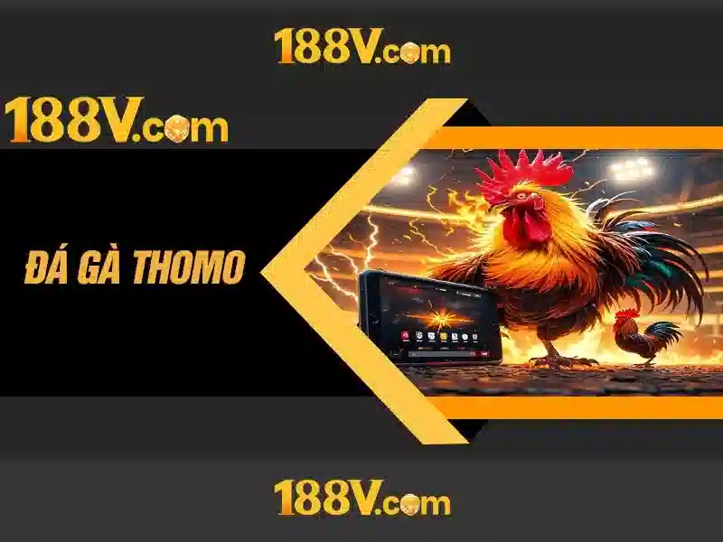 Khám phá các tầng của 188v