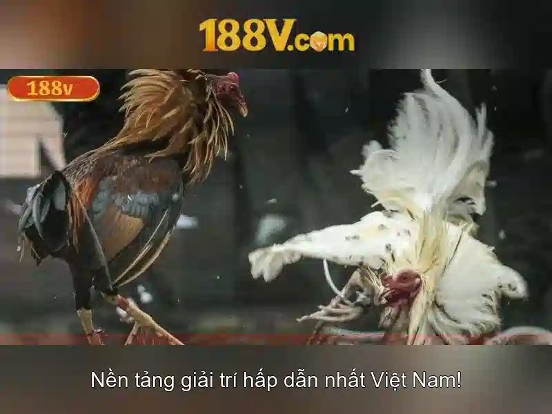 Khám phá 188V: Điện áp, nguồn gốc và ứng dụng