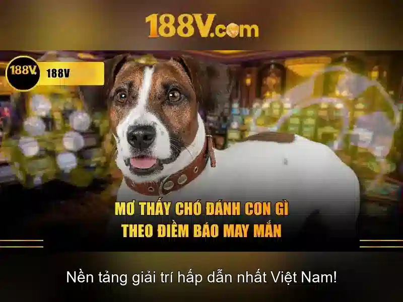 Tác động đối với xã hội và kinh tế