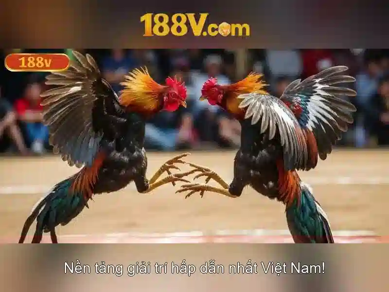 Đăng Nhập
