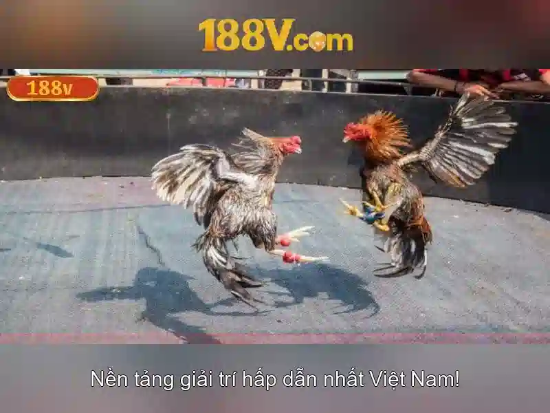 Khám phá 188V: Điện áp, ý nghĩa và ứng dụng Go88