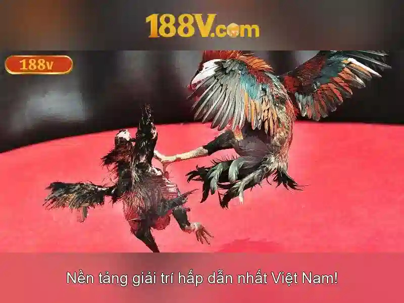 188v trang chủ – Tổng quan chủ đề và giá trị cốt lõi