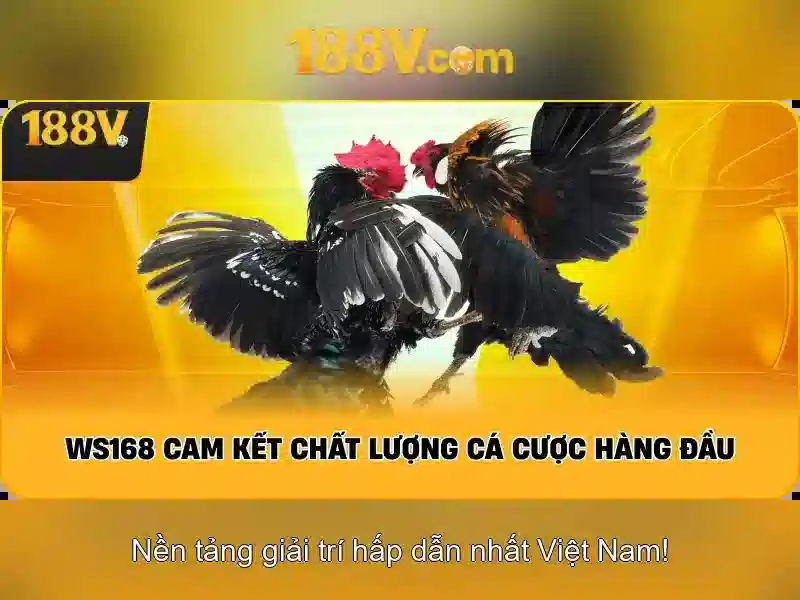 188v trong giáo dục và tư duy số\n<h>Kết luận</h>\n<p>Kết luận: khái niệm 188v là một công cụ biểu đạt trừu tượng có thể kích thích tư duy sáng tạo và khả năng tổ chức thông tin. Dù chỉ là một ký hiệu, nó mở ra nhiều cách để xem xét số học và công nghệ từ các góc độ khác nhau.</p>
