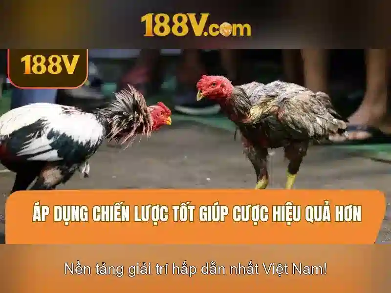 So sánh với các khái niệm liên quan