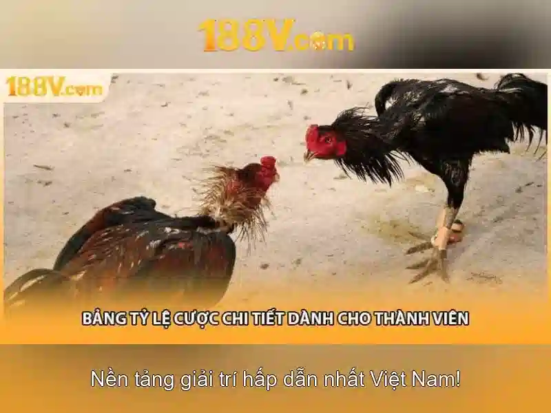Khởi nguồn của 188v Khởi nguồn của 188v