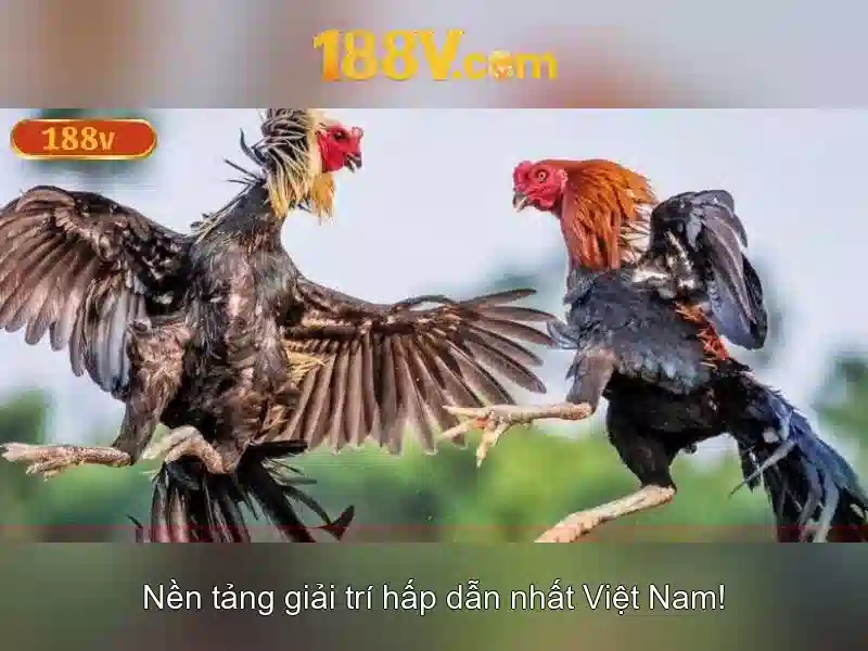188v: Khái niệm, ứng dụng và triển vọng Go88