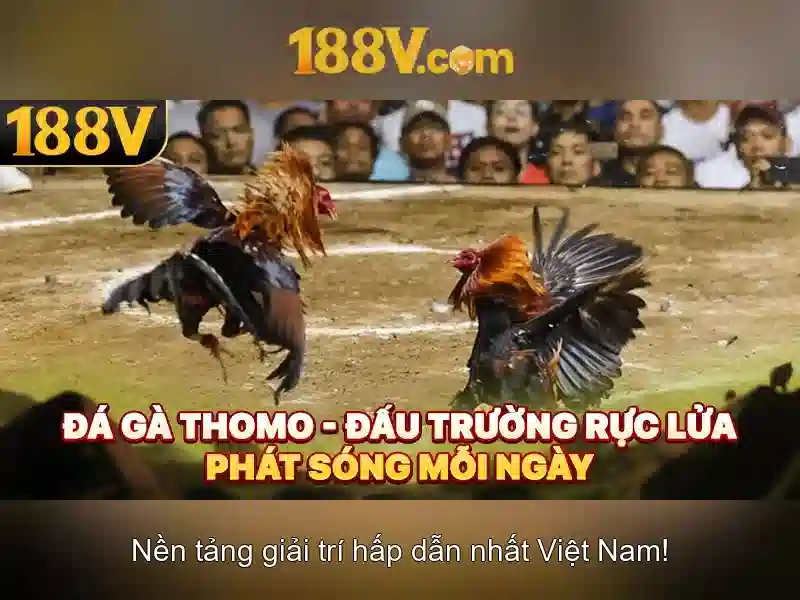 Ví dụ trong nhiếp ảnh và thiết kế