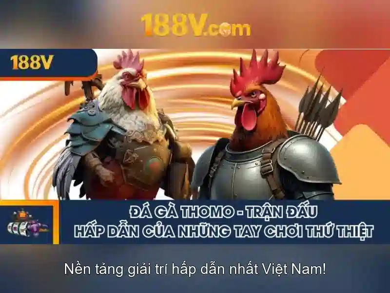 Ứng dụng và cảm hứng