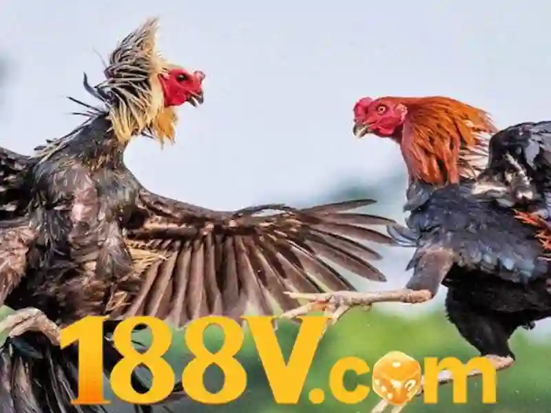 188v – Định hướng phát triển và tầm nhìn tương lai