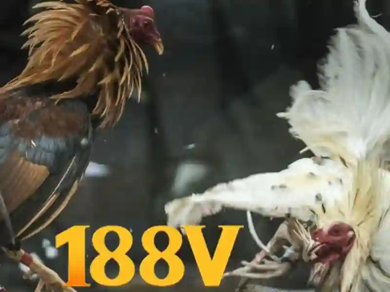 2. Lộ trình phát triển