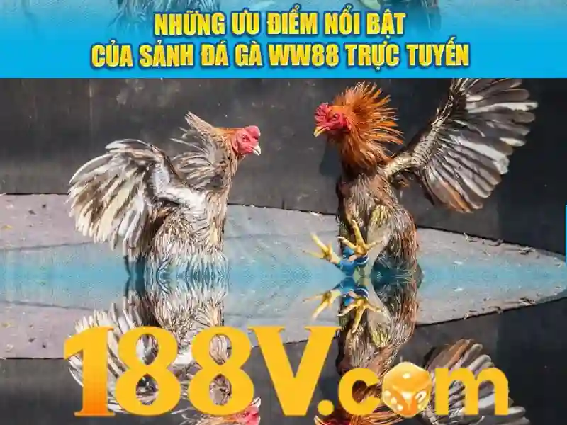Nguồn gốc và sứ mệnh của rút thưởng 188v