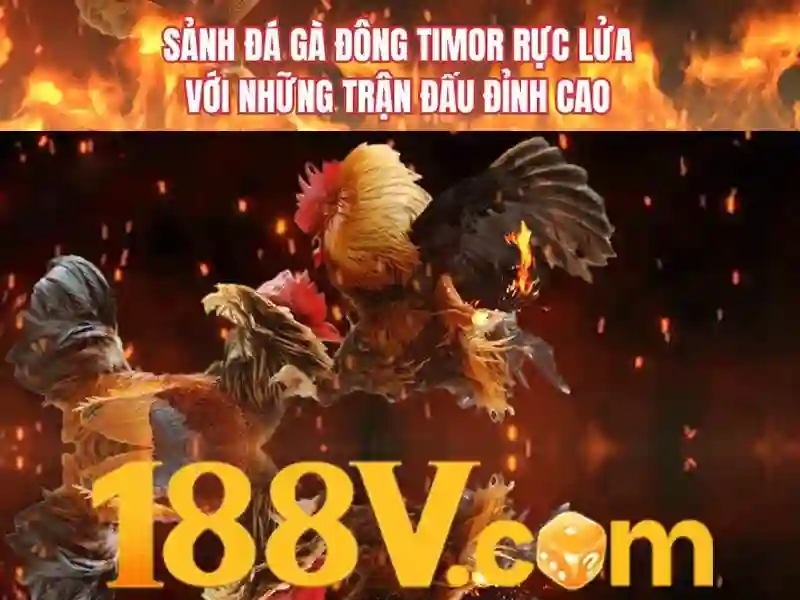 188v vom – Giới thiệu đầy sáng tạo</p>